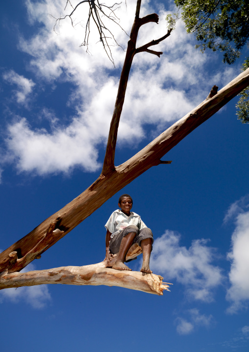 Low angle view of a boy sitting on branch, Western Highlands Province, Mount Hagen, Papua New Guinea