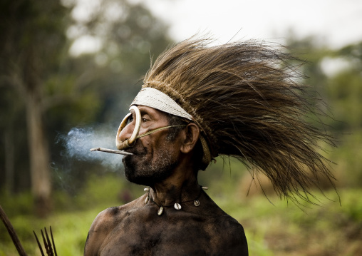 Profile of a whagi tribe man during mt hagen sing sing, Western Highlands Province, Mount Hagen, Papua New Guinea