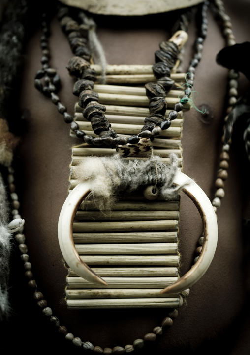 Amulets on a warrior chest with pig tusk during a Sing-sing ceremony, Western Highlands Province, Mount Hagen, Papua New Guinea