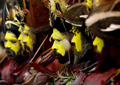 Hulis wigmen in traditional clothing during a sing-sing, Western Highlands Province, Mount Hagen, Papua New Guinea