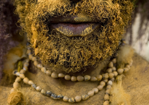Chimbu tribe man with the body covered in yellow mud, Western Highlands Province, Mount Hagen, Papua New Guinea