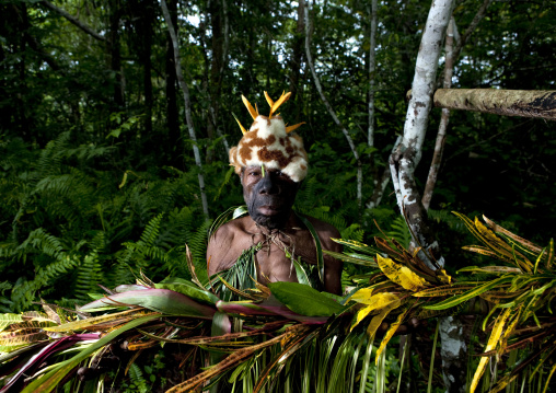 Portrait of a traditional witch doctor in the jungle, New Ireland Province, Kavieng, Papua New Guinea