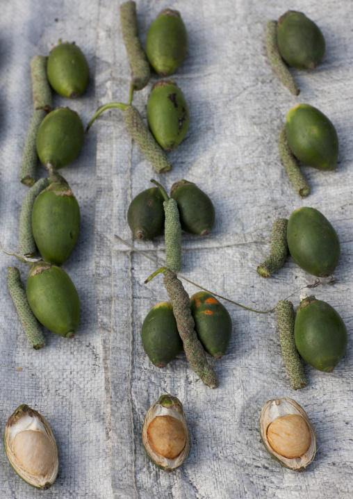 Betel nuts sold in kokopo market, East New Britain Province, Rabaul, Papua New Guinea