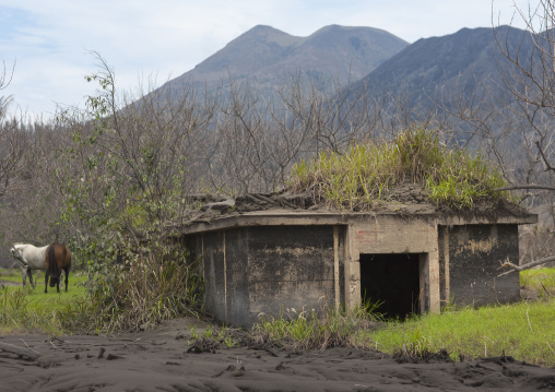 World war two bunker, East New Britain Province, Rabaul, Papua New Guinea