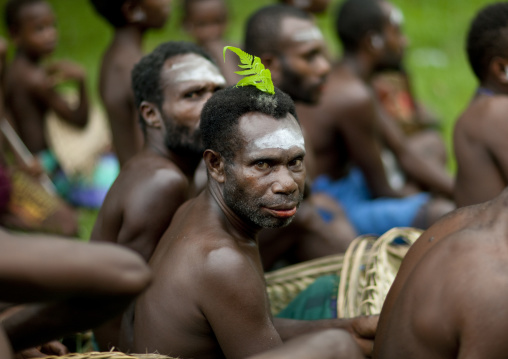 Musicians during a tubuan dance with duk duk, East New Britain Province, Rabaul, Papua New Guinea