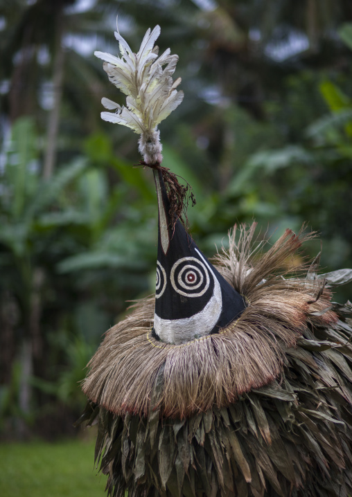 Duk duk giant mask during a Tubuan dance, East New Britain Province, Rabaul, Papua New Guinea
