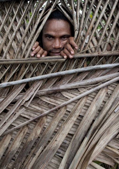Man putting out his head from a palm leaves fence, Milne Bay Province, Alotau, Papua New Guinea