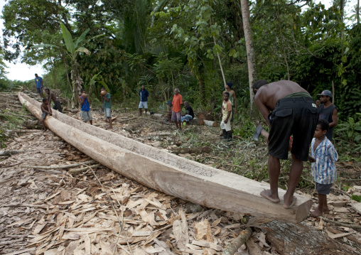 Men carving a traditional canoe in the forest, Milne Bay Province, Alotau, Papua New Guinea