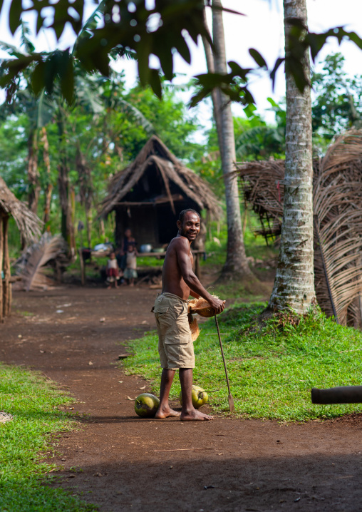 Man cutting cocounts in a village, Milne Bay Province, Trobriand Island, Papua New Guinea