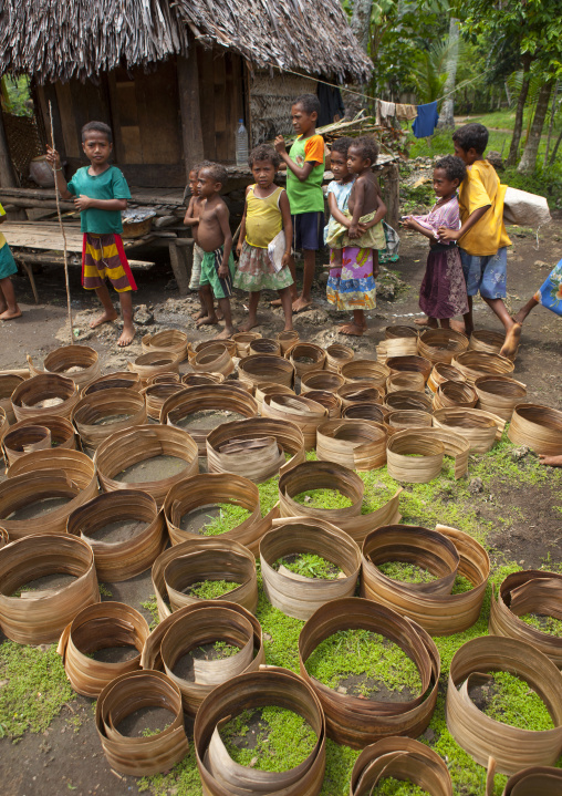 Dried pandanus leaves used to make baskets, Milne Bay Province, Trobriand Island, Papua New Guinea
