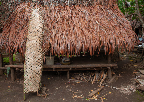 Traditional house with thatched roof in a village, Milne Bay Province, Trobriand Island, Papua New Guinea