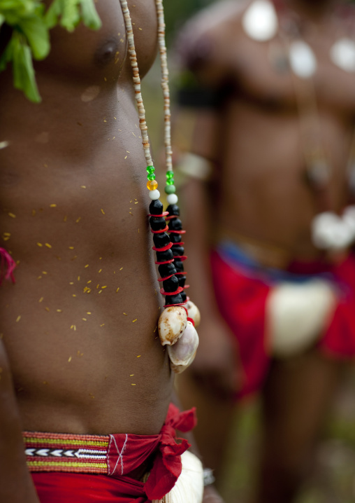Detail of a tribal dancer with shells necklaces during a ceremony, Milne Bay Province, Trobriand Island, Papua New Guinea