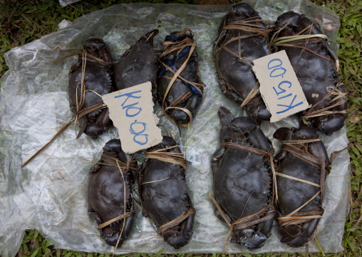 Fresh crabs at buka market, Autonomous Region of Bougainville, Bougainville, Papua New Guinea