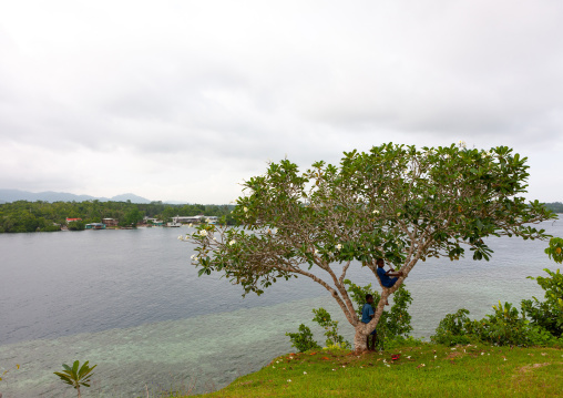 View on the bay, Autonomous Region of Bougainville, Bougainville, Papua New Guinea