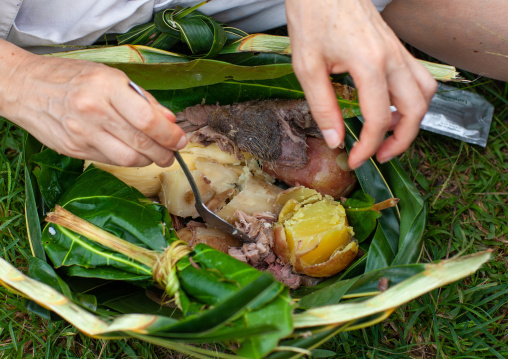 Meat packed and cooked in banana leaves, Autonomous Region of Bougainville, Bougainville, Papua New Guinea