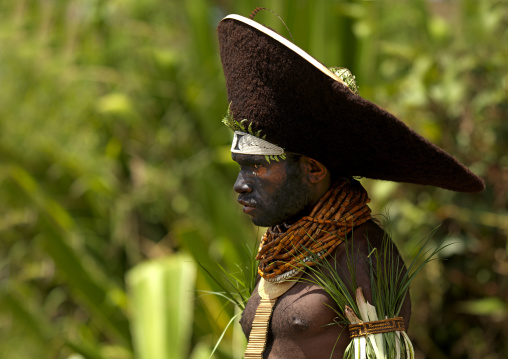 Enga kompian suli muli wearing a wig made with hair, Western Highlands Province, Mount Hagen, Papua New Guinea