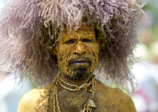 Chimbu tribe man with the body covered in yellow mud wearing a vegetal wig, Western Highlands Province, Mount Hagen, Papua New Guinea