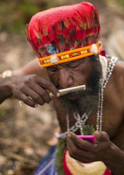 Warrior using a comb before a Sing-sing ceremony, Western Highlands Province, Mount Hagen, Papua New Guinea