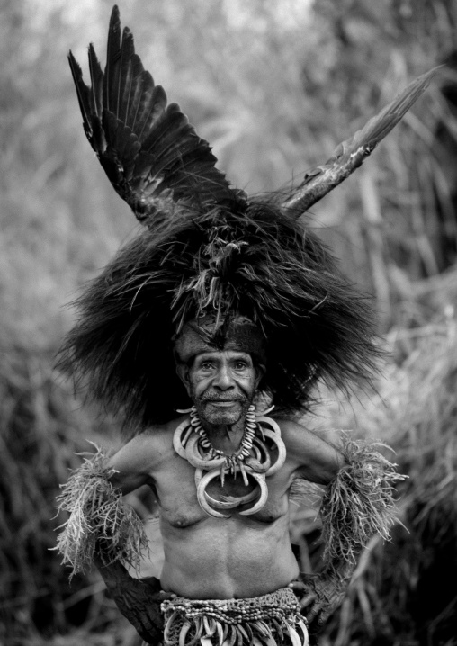 Chimbu tribe man with a huge feathers headwear during a Sing-sing ceremony, Western Highlands Province, Mount Hagen, Papua New Guinea