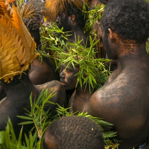 Highlander warriors during mt hagen sing sing, Western Highlands Province, Mount Hagen, Papua New Guinea