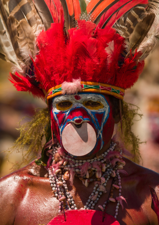 Highlander warrior with nowe ring during a sing-sing, Western Highlands Province, Mount Hagen, Papua New Guinea