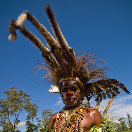 Highlander warrior with a huge headwear during a sing-sing, Western Highlands Province, Mount Hagen, Papua New Guinea
