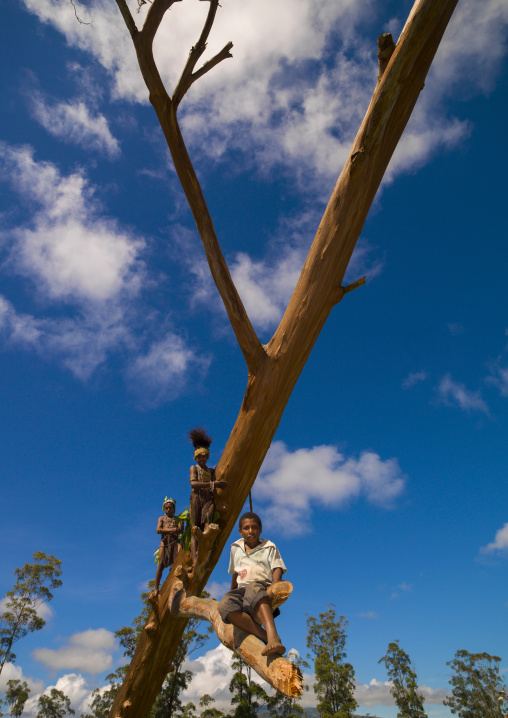 Boys climbing on a dead tree, Western Highlands Province, Mount Hagen, Papua New Guinea