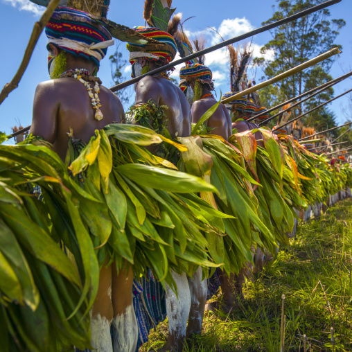 Kunga warriors dancing during a sing-sing, Western Highlands Province, Mount Hagen, Papua New Guinea