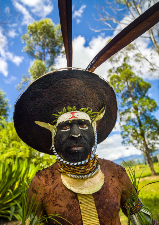 Portrait of a Enga kompian suli muli wearing a wig made with hair, Western Highlands Province, Mount Hagen, Papua New Guinea