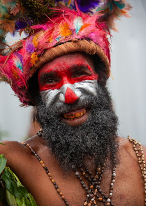 Highlander warrior with traditional makeup during a sing-sing, Western Highlands Province, Mount Hagen, Papua New Guinea