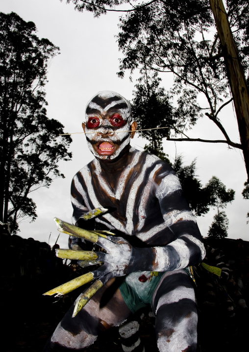 Snake man during a sing sing ceremony, Western Highlands Province, Mount Hagen, Papua New Guinea