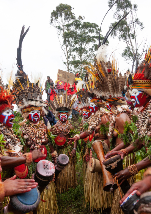 Highlander women with drums in traditional clothing during a sing-sing, Western Highlands Province, Mount Hagen, Papua New Guinea
