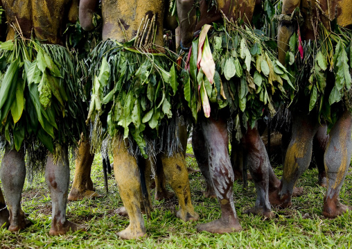 Highlander warriors with vegetal clothing during a sing-sing, Western Highlands Province, Mount Hagen, Papua New Guinea