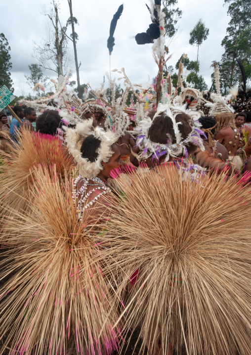 Costal tribe women during a Sing-sing, Western Highlands Province, Mount Hagen, Papua New Guinea