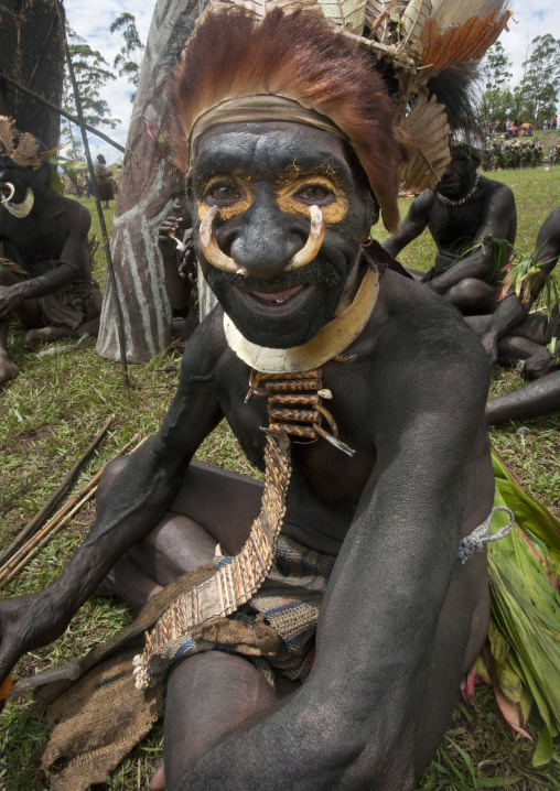 Chimbu tribe man with the tusks of a male wild boar as nose jewellery during a Sing-sing, Western Highlands Province, Mount Hagen, Papua New Guinea