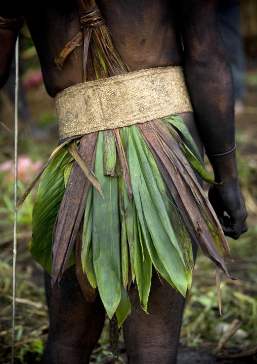 Chimbu tribe man with a vegetal skirt during a sing-sing, Western Highlands Province, Mount Hagen, Papua New Guinea