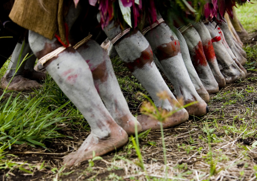 Hulis wigmen feet dancing during a sing-sing, Western Highlands Province, Mount Hagen, Papua New Guinea