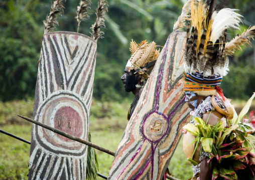 Warriors with shields during a sing sing, Western Highlands Province, Mount Hagen, Papua New Guinea