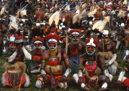 Warriors in traditional clothing during a sing sing, Western Highlands Province, Mount Hagen, Papua New Guinea