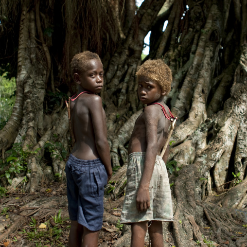 Boys chasing birds, New Ireland Province, Laraibina, Papua New Guinea
