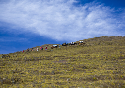 People Going To The Qoyllur Riti Festival In The Mountain, Ocongate Cuzco, Peru