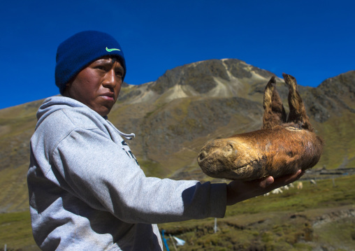 Teenager Selling Donkey Head As A Cure, Qoyllur Riti, Ocongate Cuzco, Peru
