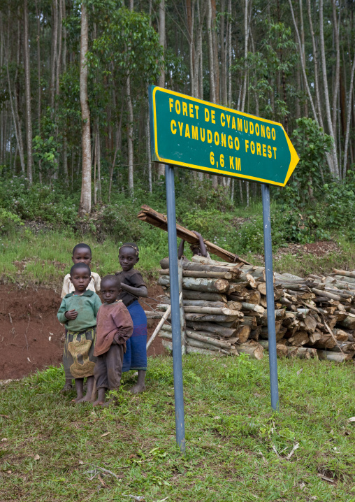 Rwanda boys in the forest, Western Province, Cyamudongo, Rwanda