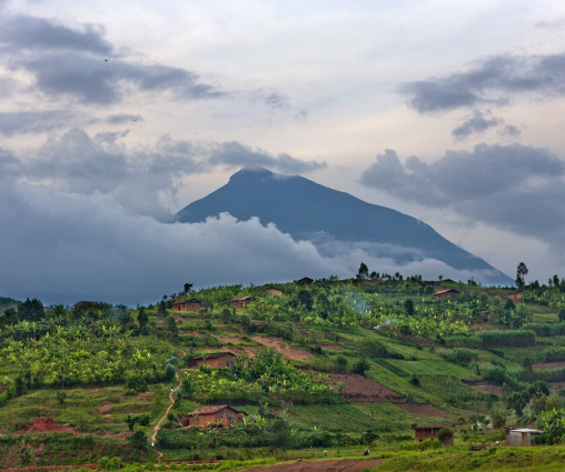 Volcano over farms in the countryside, Northwest Province, Rehengeri, Rwanda