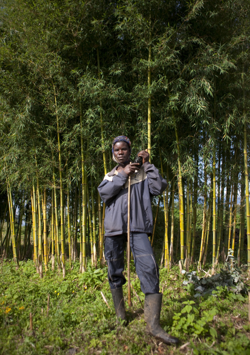 Rwandan man in the volcanoes national park, Northwest Province, Rehengeri, Rwanda