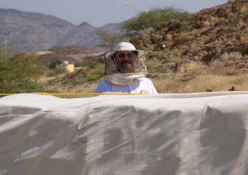 Saudi beekeeper working in the beehives, Jizan province, Addarb, Saudi Arabia