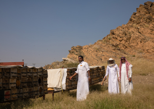 Saudi beekeepers working in the beehives, Jizan province, Addarb, Saudi Arabia