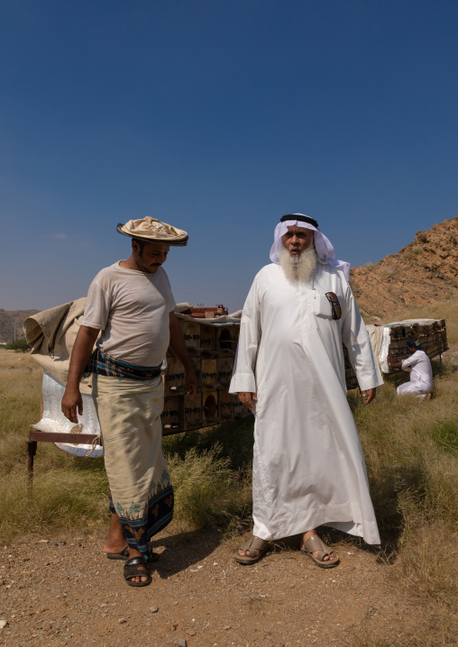 Saudi beekeepers working in the beehives, Jizan province, Addarb, Saudi Arabia