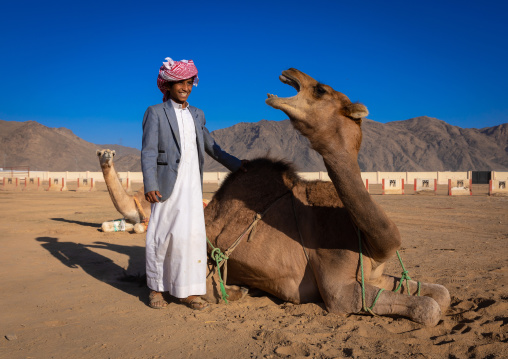 Saudi boy with his angry camel, Najran Province, Najran, Saudi Arabia