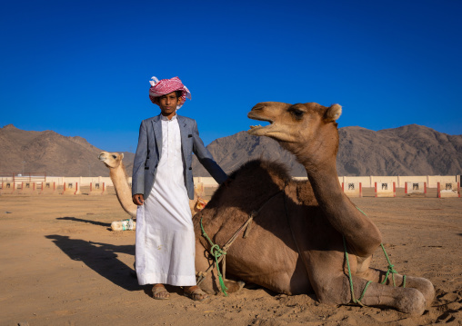 Saudi boy with his camel in a farm, Najran Province, Najran, Saudi Arabia